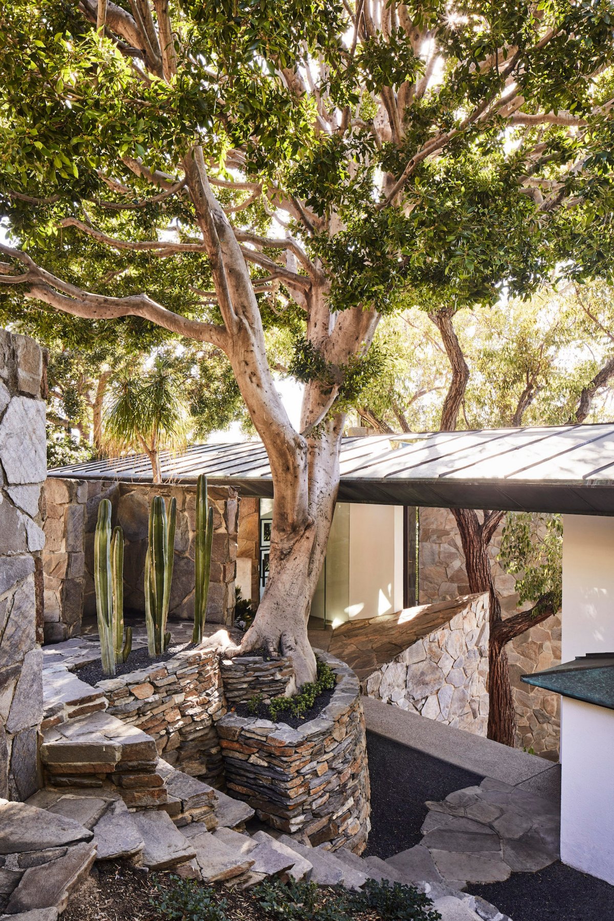 アメリカンモダン　John Lautner ジョン・ロートナー作品集　建築 The Architecture of John Lautner ジョン・ロートナーの建築